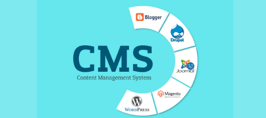 Content Management System