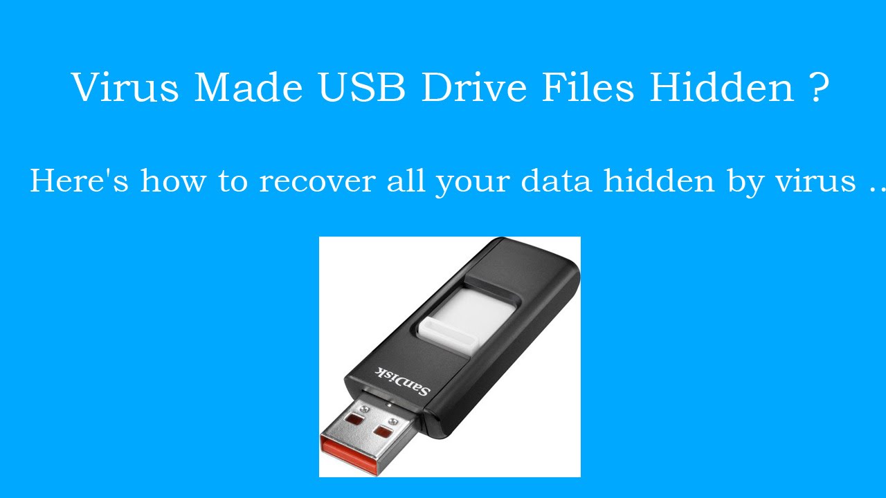 How Can I Access Files On My Usb Storage Disk That Were Hidden By A Virus